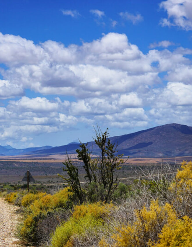 5 tips om te doen in Zuid-Afrika