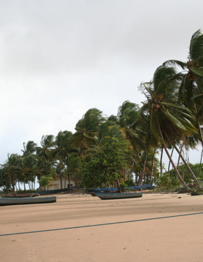 Highlights en bezienswaardigheden van Suriname