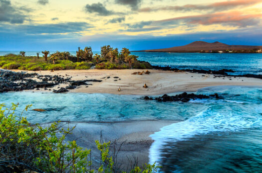 Tips voor een reis naar de Galapagos eilanden