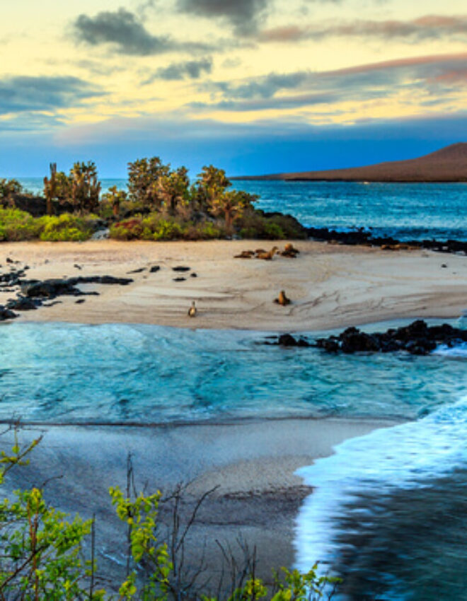 Tips voor een reis naar de Galapagos eilanden