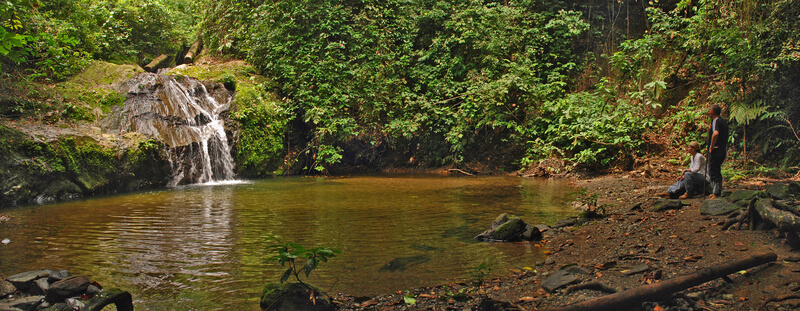 rondreis Borneo