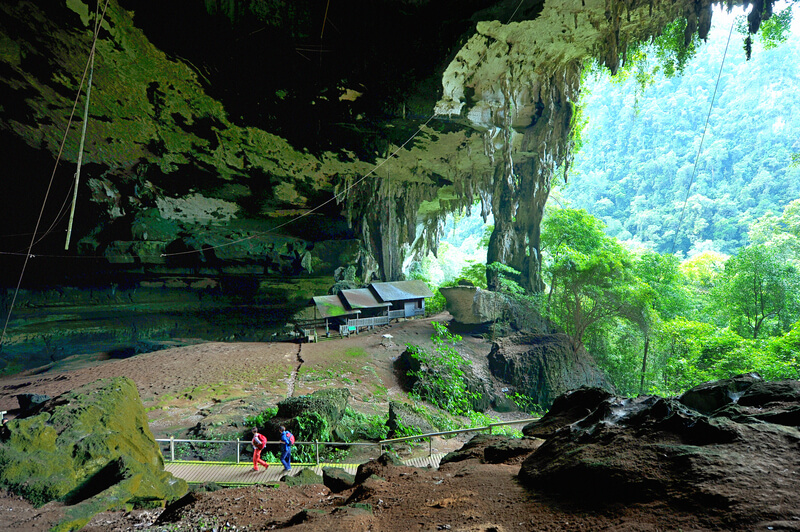 rondreizen Borneo