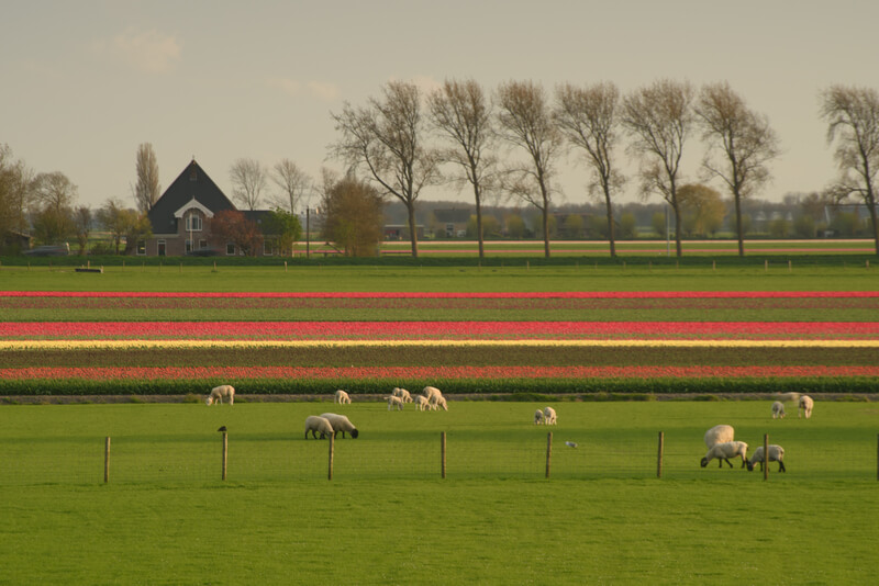 De mooiste fietsroutes van friesland