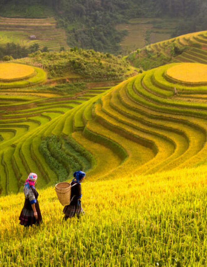 Reizen in Vietnam? Wat zijn de mooiste bezienswaardigheden van Vietnam?