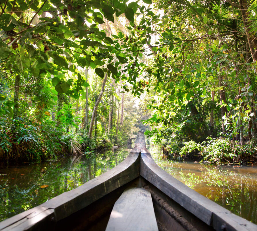 Een Georganiseerde Reis door het Amazonegebied: Ontdek de Prachtige Wildernis