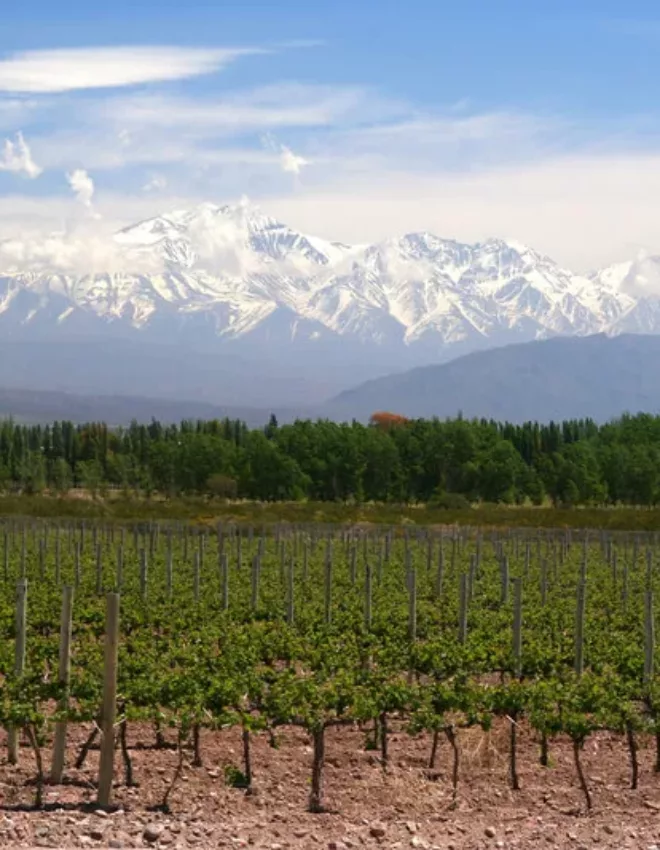 Een bezoek aan de wijnstreek Mendoza, Argentinië, wat moet je gezien en gedaan hebben?