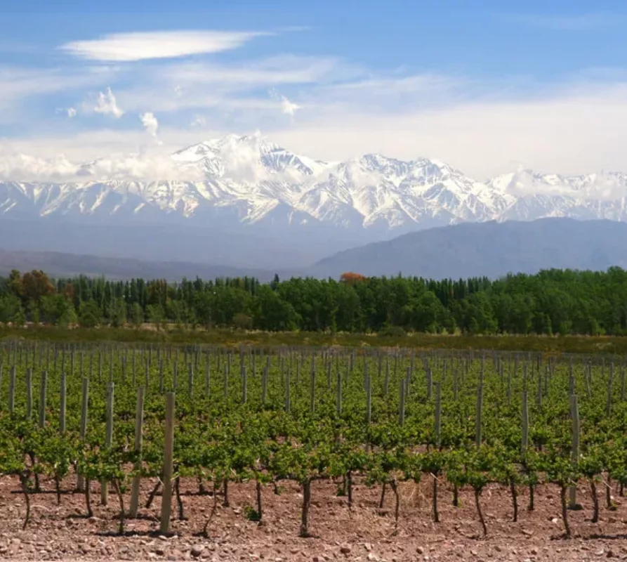 Een bezoek aan de wijnstreek Mendoza, Argentinië, wat moet je gezien en gedaan hebben?