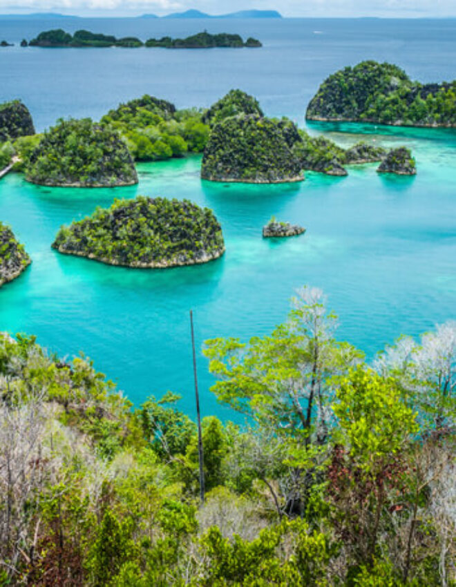 Duiken in Raja Ampat Indonesië, bewonder de in de kristalheldere wateren