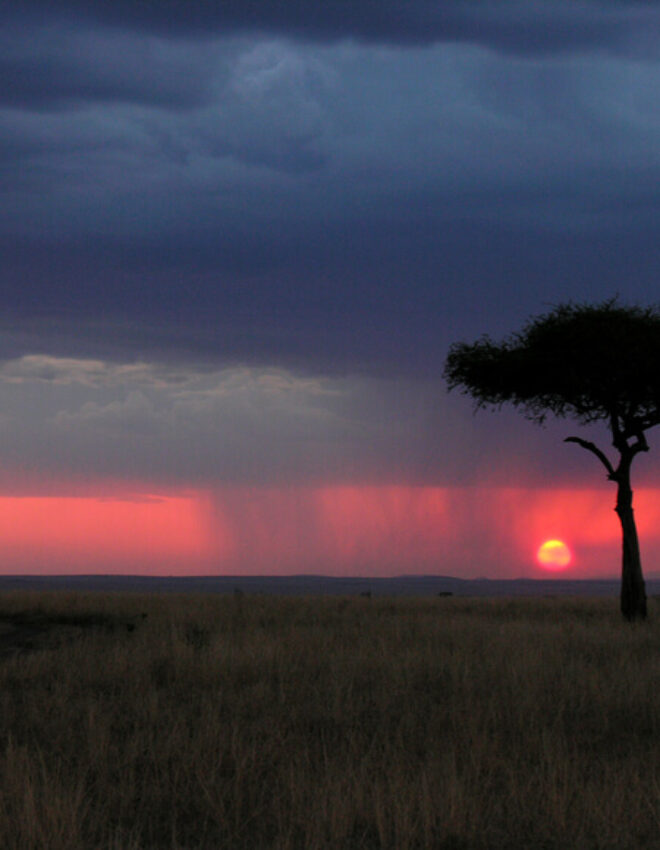 Hoe is het klimaat in Kenia, en wat is de beste periode om naar Kenia te reizen?