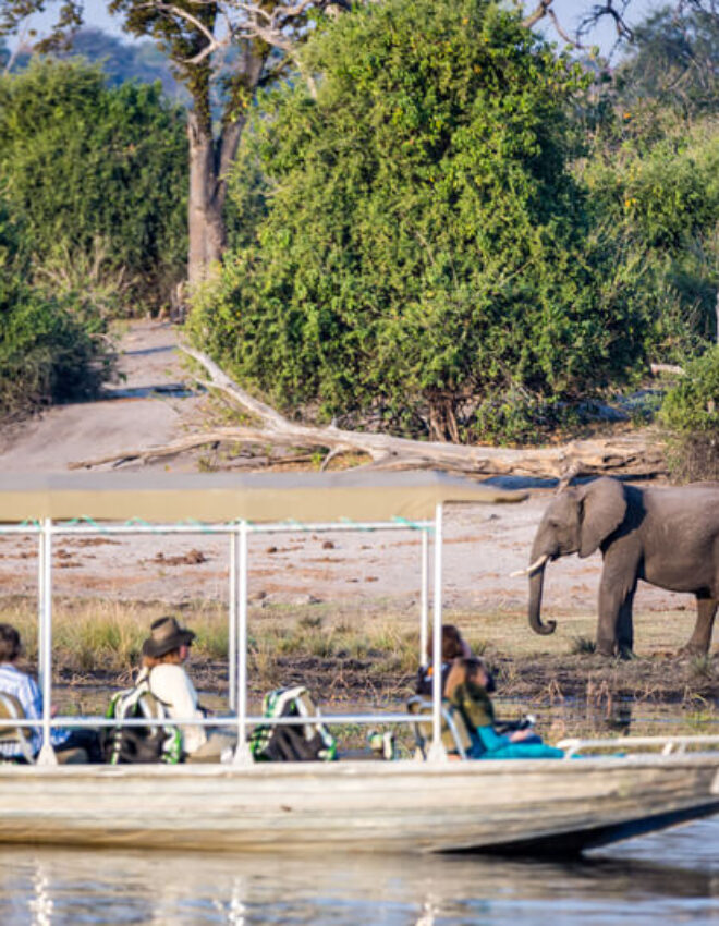 Wat te doen in Botswana; het veiligste land van Afrika