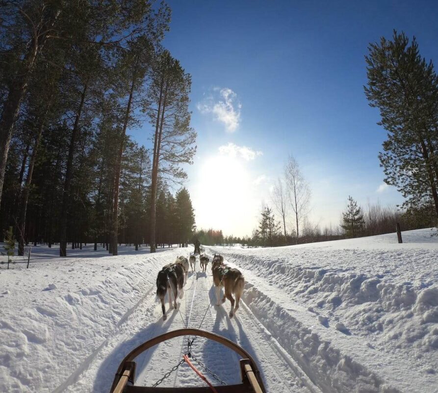Wat te doen in Rovaniemi, Lapland? Ontdek de hoofdstad van het noorden